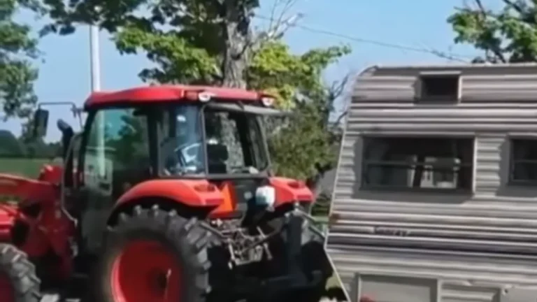 11-Year-Old Transforms $400 Camper Into a Dreamy Tiny Home That’ll Melt Your Heart