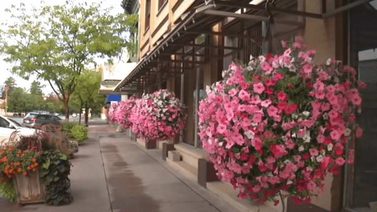 Garden Center Reveals Magical Mix for Hanging Baskets That Bloom Like Crazy