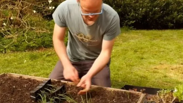 5 Low Maintenance Vegetables You Can Plant Once and Harvest for Years