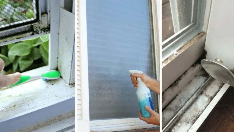 How to Get Sparkling Clean Windows  7 Expert Tips for a Streak-Free Shine
