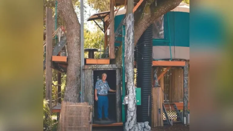 Whimsical Treehouse Yurt How One Senior Turned His Backyard Into a Magical Mini Town