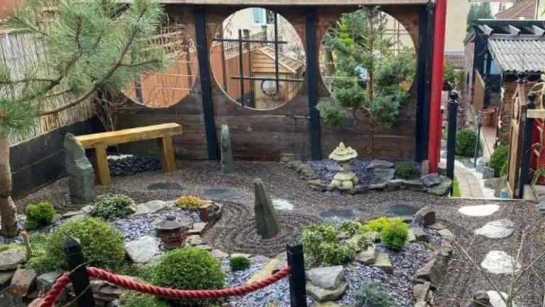 From Dirt Patch to Zen Paradise  How One Man Spent a Decade Creating a Breathtaking Japanese Garden