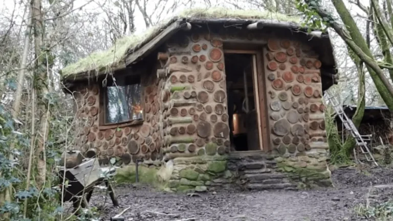 Inside the Whimsical Forest Cottage That Feels Like a Real Life Storybook Home