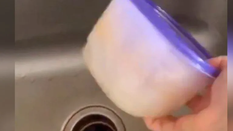 The Viral Hack That Instantly Removes Tupperware Stains No Scrubbing Needed!