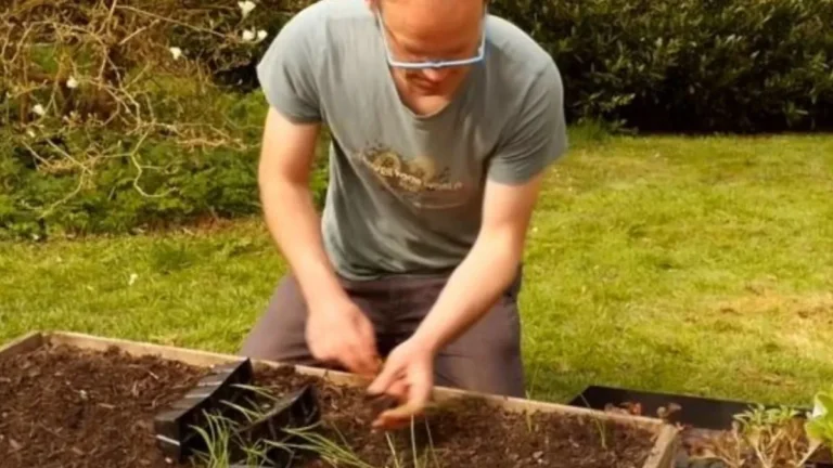 7 Perennial Vegetables That Keep Growing Back Plant Once  Harvest for Years