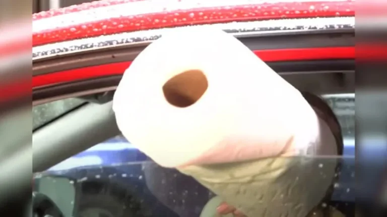 5 Car Safety Facts Every Driver Should Know  Before It’s Too Late