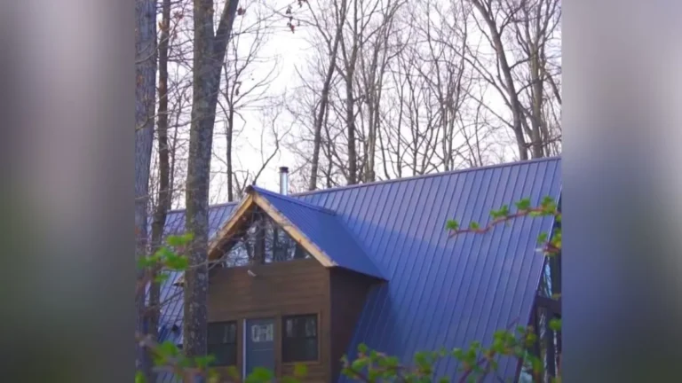 From Dream to DIY  How This Couple Built a Stunning A-Frame Cabin With Zero Experience