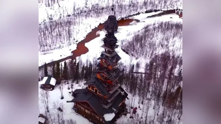 Alaska Man Builds Whimsical Tower Straight Out of a Dr. Seuss Storybook