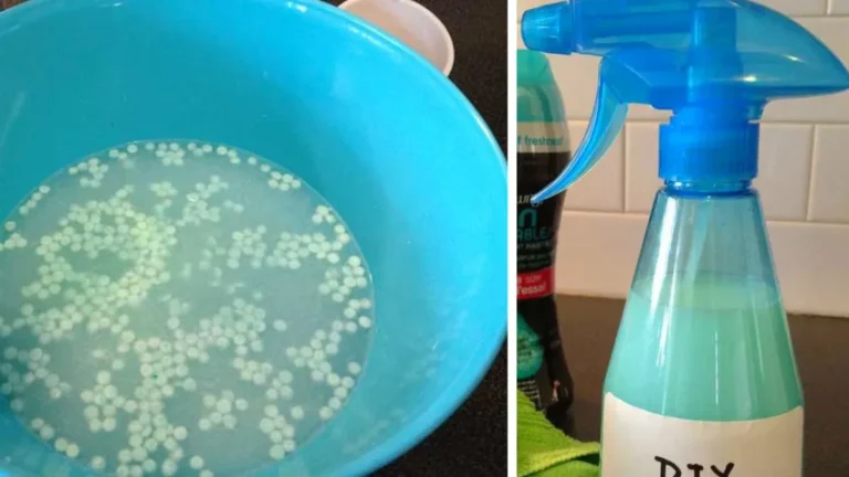 How to Make an Easy DIY Air Freshener Spray That Instantly Lifts Any Room