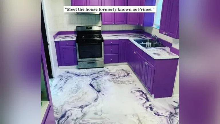 This Bold Purple Kitchen Has the Internet Talking Love It or Hate It?