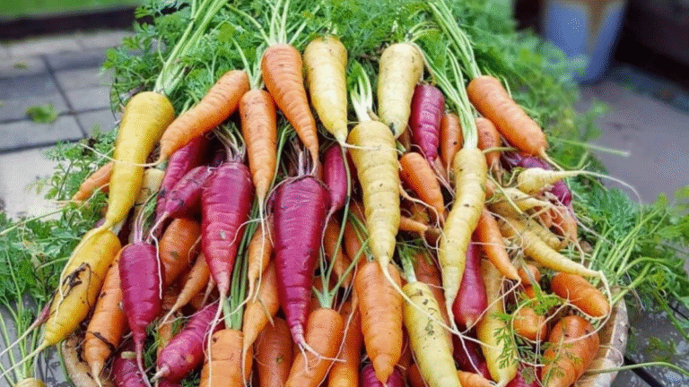 Brilliant Trick: Grow Juicy  Fat Carrots in Plastic Bags No Garden Needed