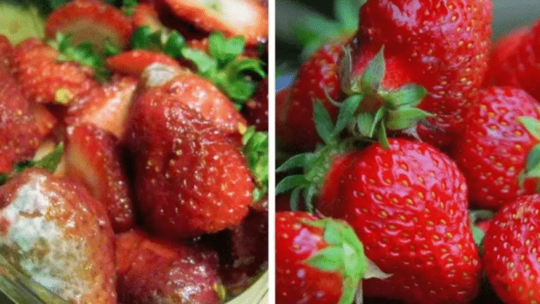 Strawberries Going Bad Too Fast  Try These Genius Hacks to Keep Them Fresh Longer