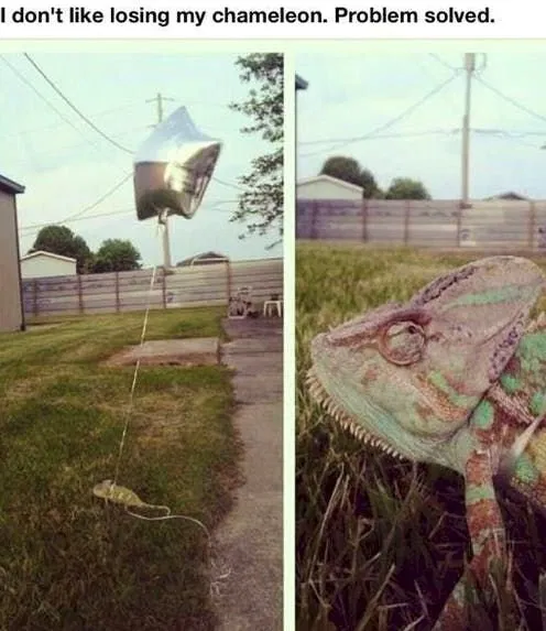 15+ Hilariously Smart Solutions For Everyday Problems