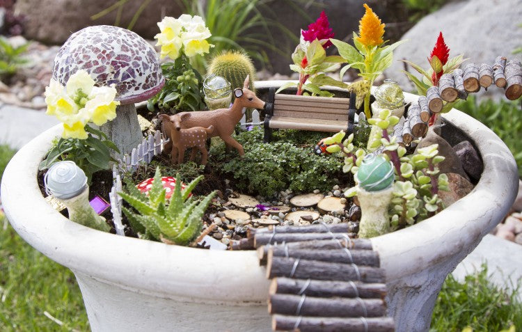 How to Create a Mini Garden – Hoselink